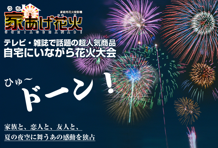 セガトイズ「家あげ花火」 - その他